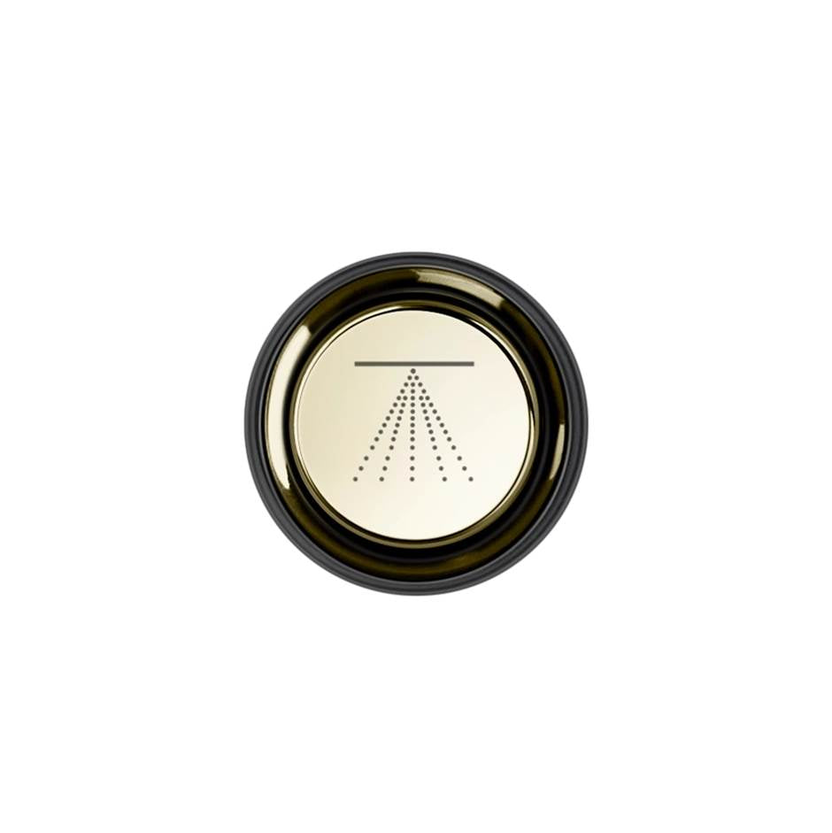 Gessi 03291 Hi Fi Push-Botton Plate With Atomizer Symbol. For Hi-Fi Eclectic.