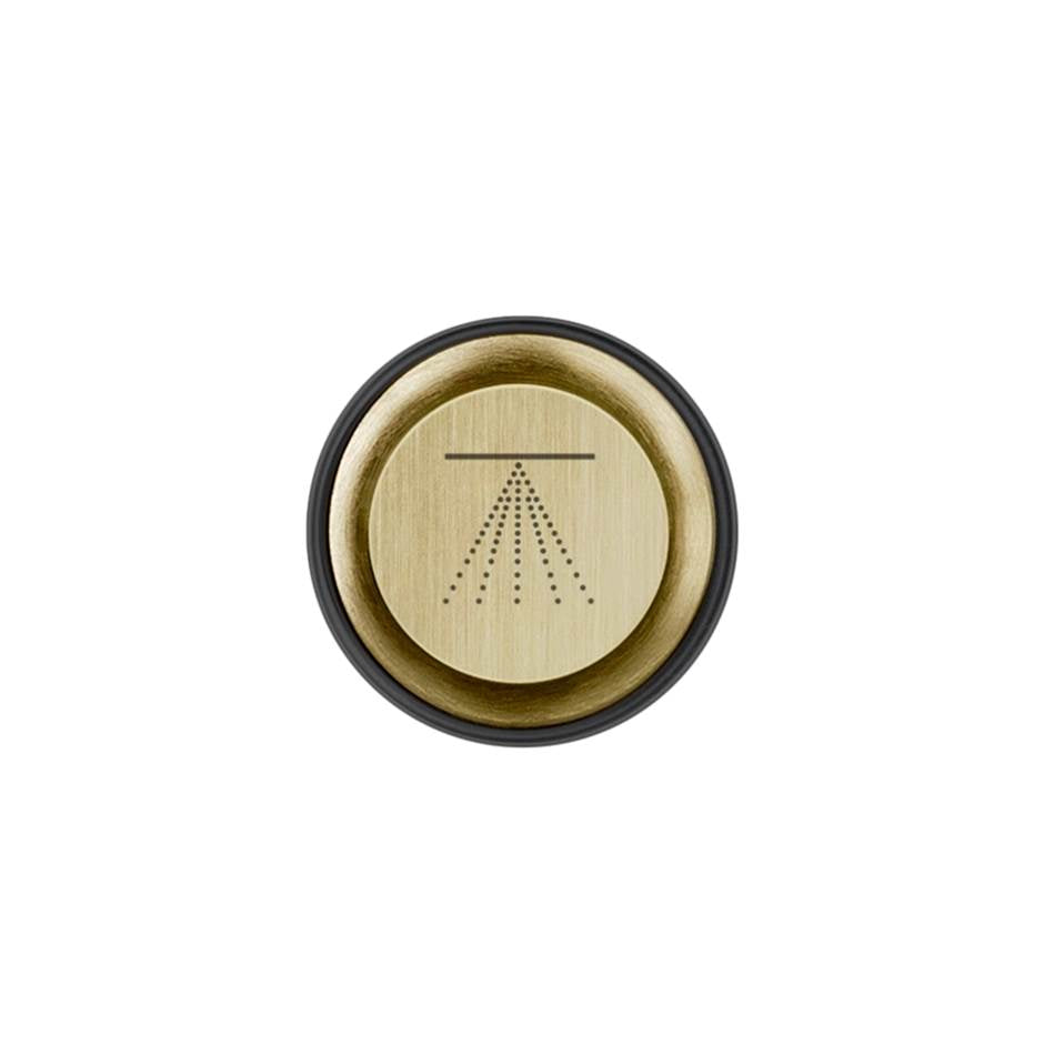 Gessi 03291 Hi Fi Push-Botton Plate With Atomizer Symbol. For Hi-Fi Eclectic.