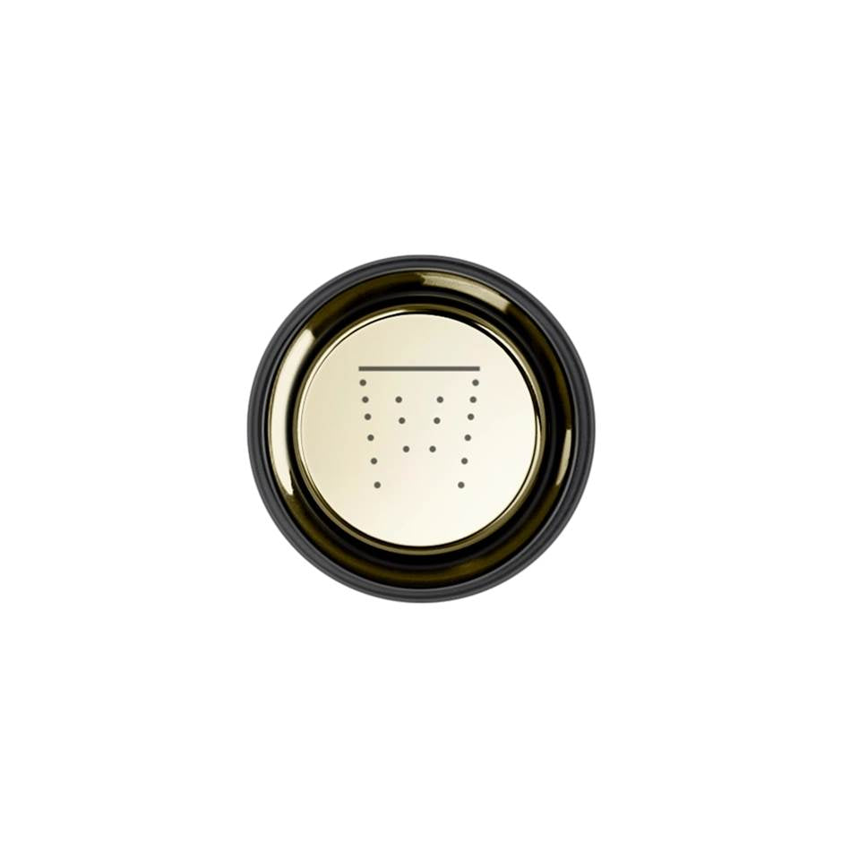 Gessi 03292 Hi Fi Push-Botton Plate With Waterfall Symbol. For Hi-Fi Eclectic.