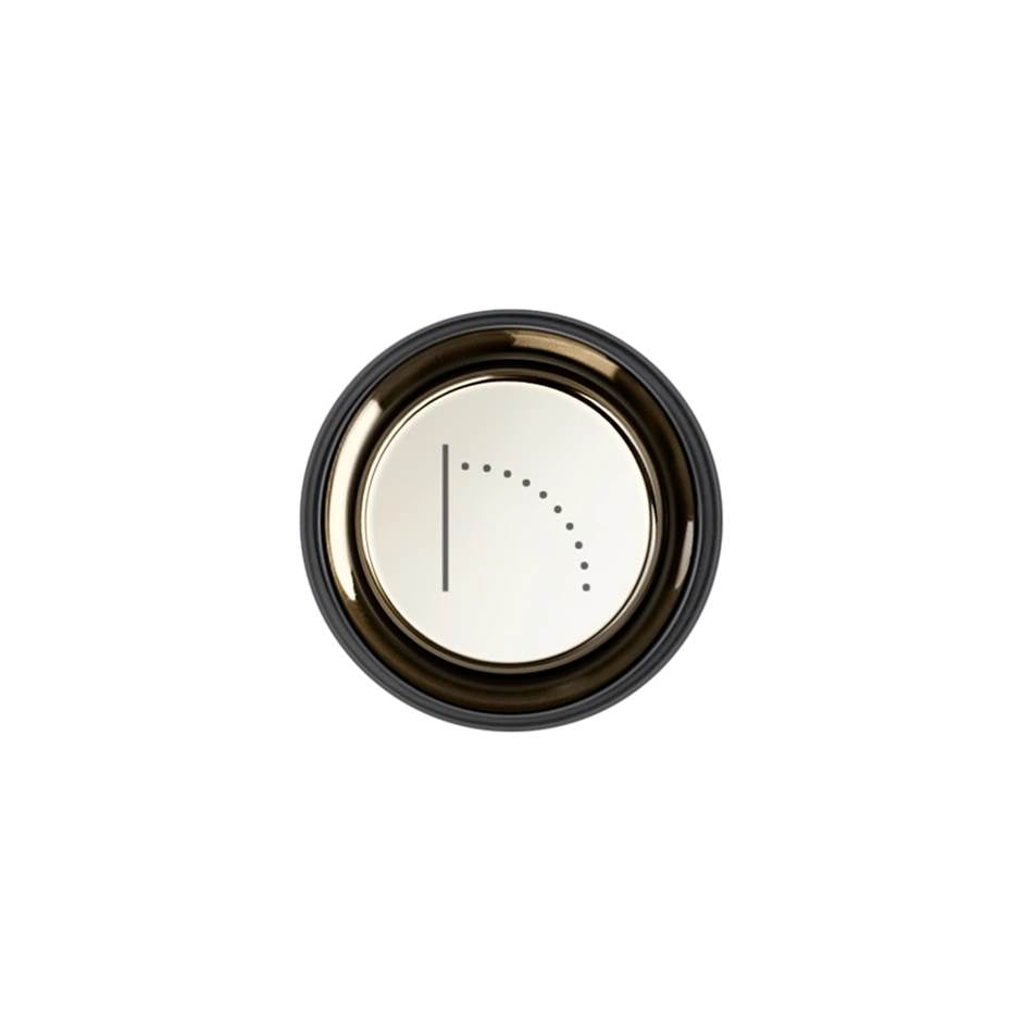Gessi 03293 Hi Fi Push-Botton Plate With Wall-Mounted Waterfall Symbol. For Hi-Fi Eclectic.