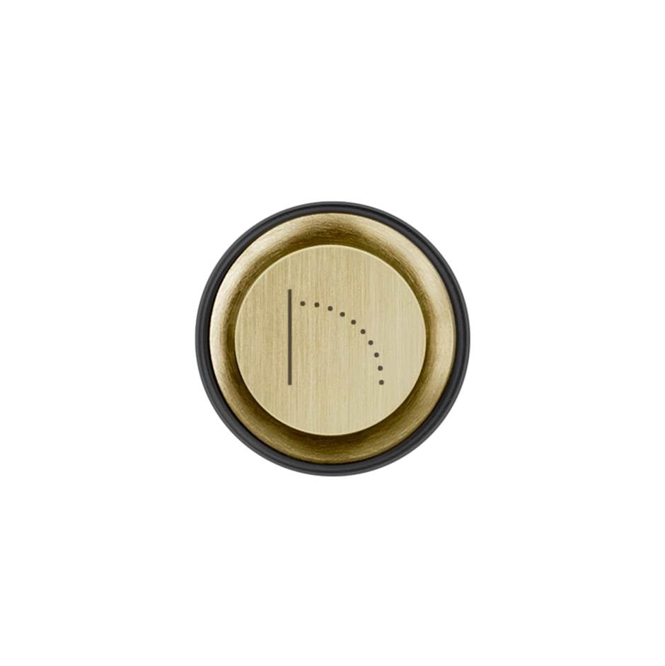 Gessi 03293 Hi Fi Push-Botton Plate With Wall-Mounted Waterfall Symbol. For Hi-Fi Eclectic.