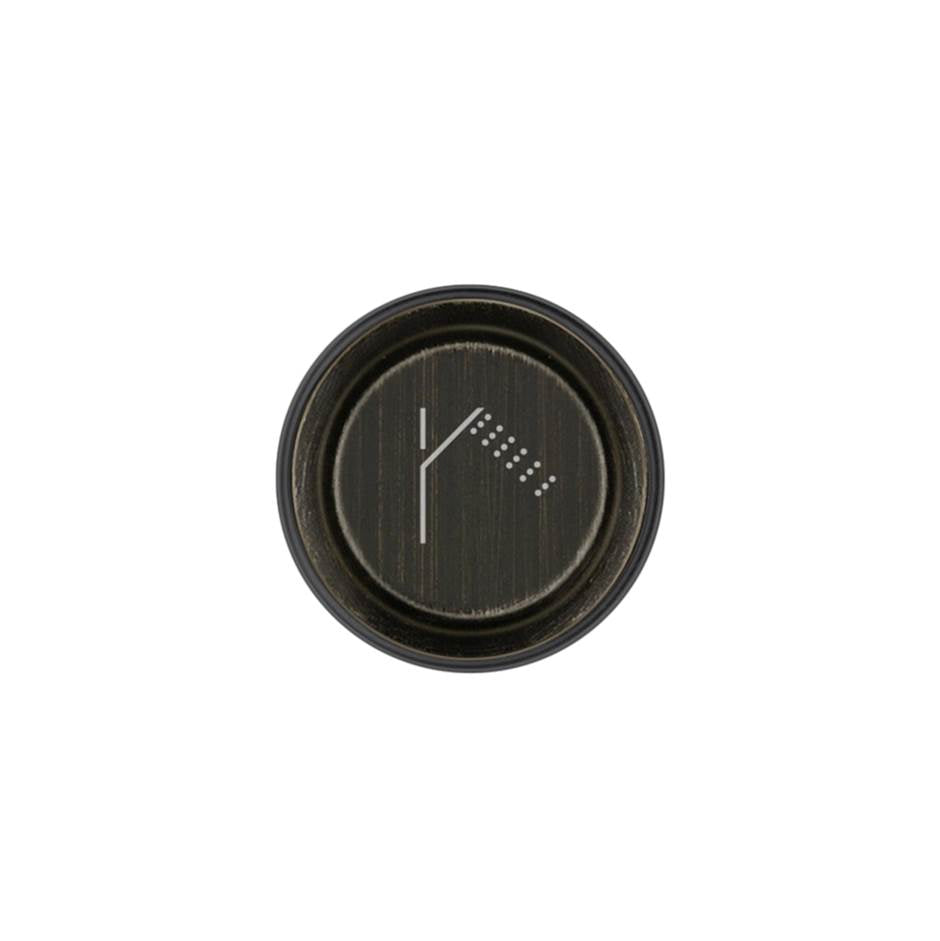 Gessi 03294 Hi Fi Push-Botton Plate With Handshower Symbol. For Hi-Fi Eclectic.