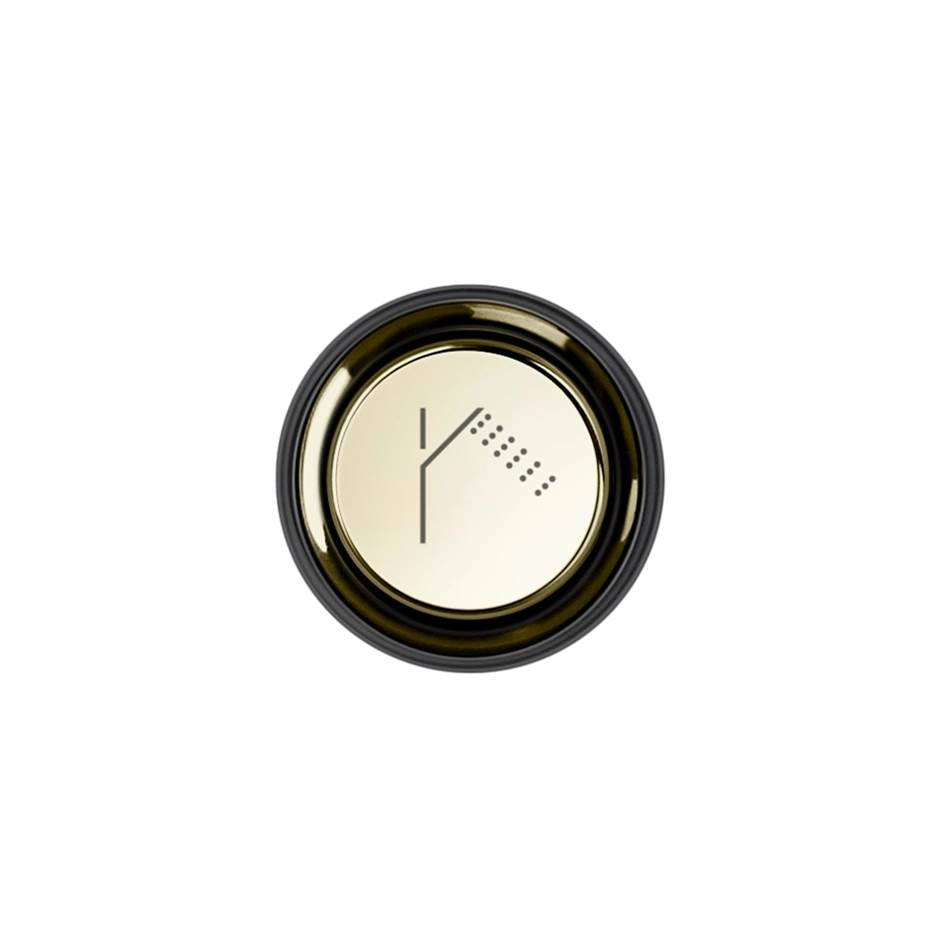 Gessi 03294 Hi Fi Push-Botton Plate With Handshower Symbol. For Hi-Fi Eclectic.