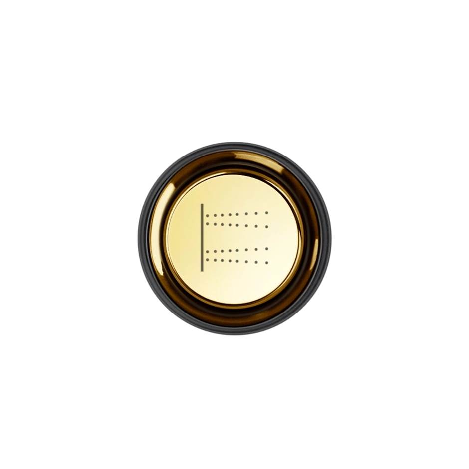 Gessi 03295 Hi Fi Push-Botton Plate With Body Jets Symbol. For Hi-Fi Eclectic.