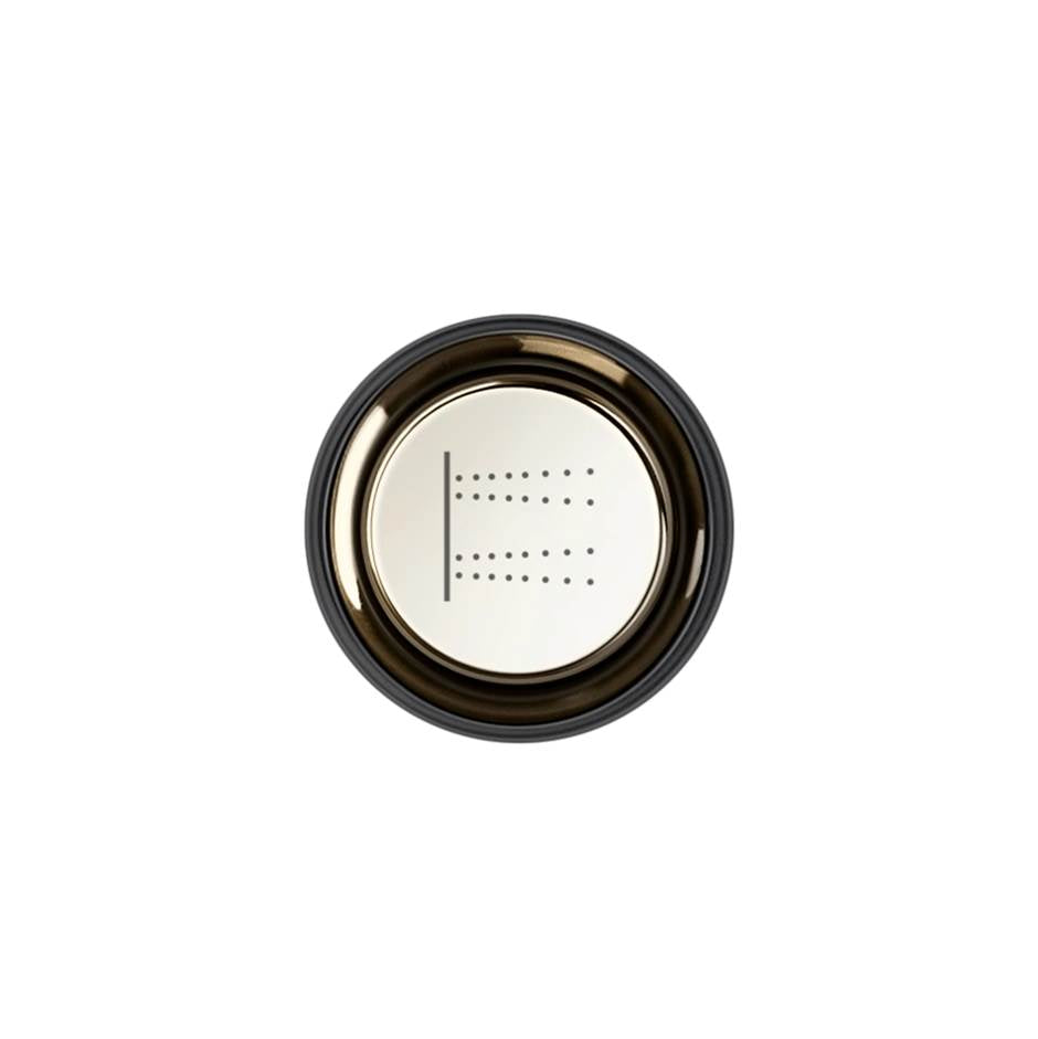 Gessi 03295 Hi Fi Push-Botton Plate With Body Jets Symbol. For Hi-Fi Eclectic.