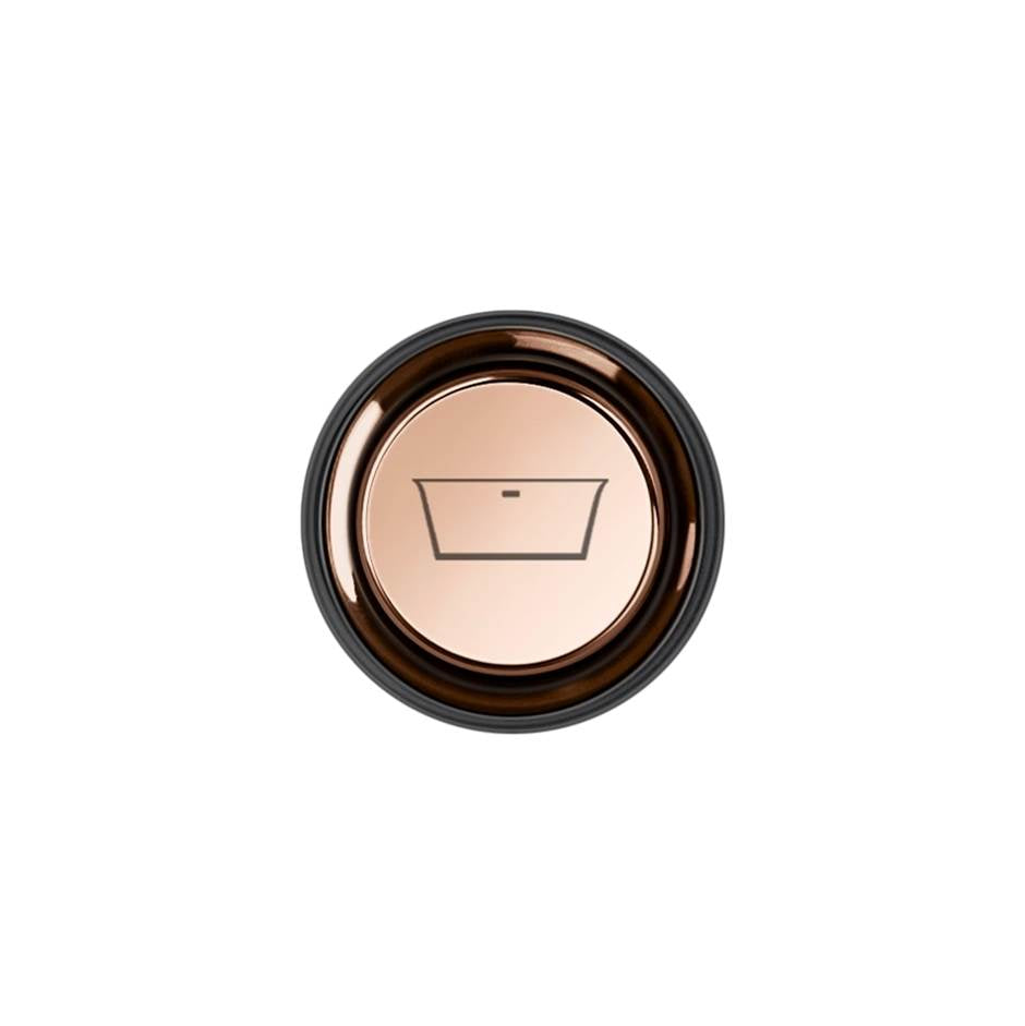 Gessi 03296 Hi Fi Push-Botton Plate With Bathtub Symbol. For Hi-Fi Eclectic. - Parent