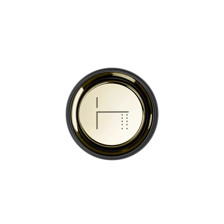 Gessi 03298 Hi Fi Push-Botton Plate With Foot Spout Symbol. For Hi-Fi Eclectic.
