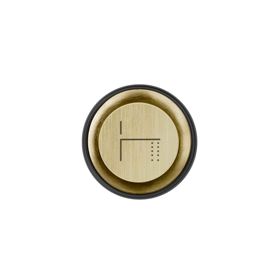 Gessi 03298 Hi Fi Push-Botton Plate With Foot Spout Symbol. For Hi-Fi Eclectic.