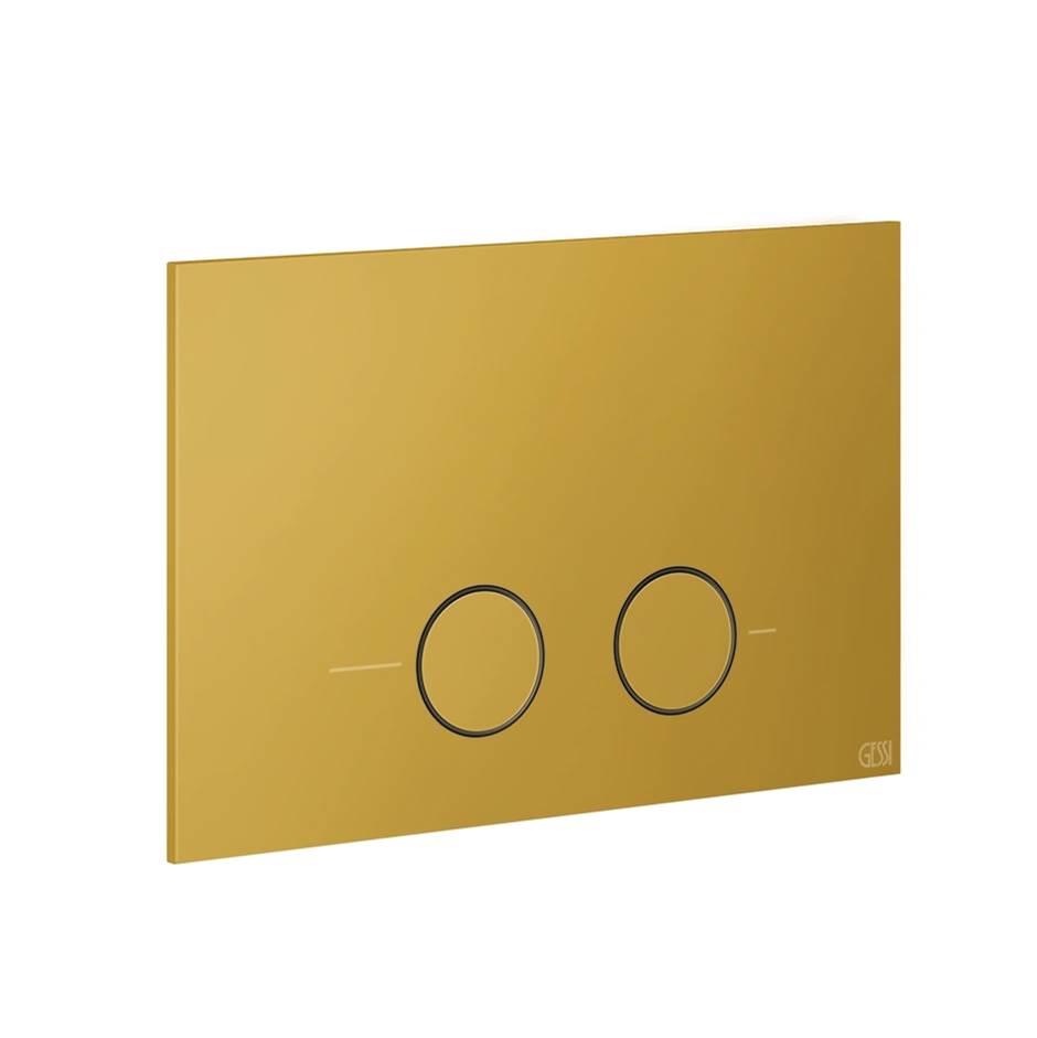 Gessi 54611 Inverso Flush Actuator Plate
