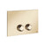 Gessi 54651 Venti20 Flush Actuator Plate Venti20