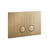 Gessi 54671 Inverso Flush Actuator Plate Rigato