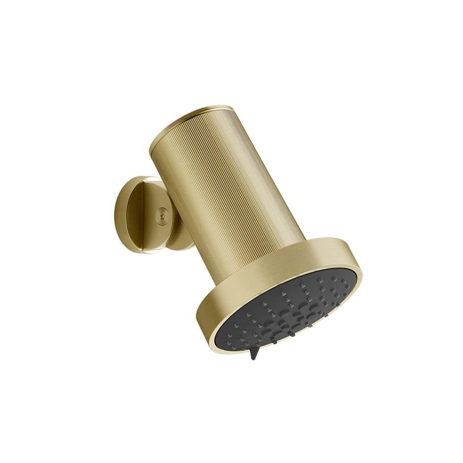 Gessi 57271 Spotwater Wall-Mounted Adjustable Shower Head Rigato.