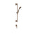 Gessi 59242 Rilievo Handshower and Adjustable Sliding Rail Set