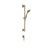 Gessi 59242 Rilievo Handshower and Adjustable Sliding Rail Set