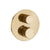Gessi 63141 Ventaglio Trim Parts Only External Parts For 2-Way Diverter Thermostatic and Volume Control Rigato.