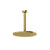 Gessi 63350 Ventaglio Ceiling-Mounted, Shower Head With Arm, Custom Length