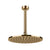 Gessi 63350 Ventaglio Ceiling-Mounted, Shower Head With Arm, Custom Length