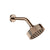 Gessi 63554 Inverso Wall-Mounted Anti-Limescale Showerhead. Rigato - Parent