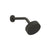 Gessi 63554 Inverso Wall-Mounted Anti-Limescale Showerhead. Rigato