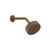 Gessi 63554 Inverso Wall-Mounted Anti-Limescale Showerhead. Rigato