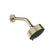Gessi 65158 Venti20 Wall-Mounted Adjustable Multi-Function Shower Head With Arm: