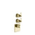 Gessi 65202 Venti20 Trim Parts Only External Parts For Thermostatic With 2 Volume Controls