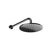 Gessi 66148 Ventaglio Wall-Mounted Adjustable Shower Head With Arm.