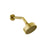 Gessi 66156 Origini Wall-Mounted Adjustable Shower Head With Arm.