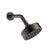 Gessi 66156 Origini Wall-Mounted Adjustable Shower Head With Arm.