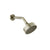 Gessi 66156 Origini Wall-Mounted Adjustable Shower Head With Arm.