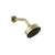 Gessi 66158 Origini Wall-Mounted Adjustable Multi-Function Shower Head With Arm: