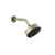 Gessi 66158 Origini Wall-Mounted Adjustable Multi-Function Shower Head With Arm: