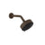 Gessi 66158 Origini Wall-Mounted Adjustable Multi-Function Shower Head With Arm: