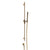 Gessi 70042 Ventaglio Handshower and Adjustable Sliding Rail Set. Unito