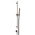 Gessi 70042 Ventaglio Handshower and Adjustable Sliding Rail Set. Unito