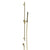 Gessi 70342 Habito Handshower and Adjustable Sliding Rail Set. Trame