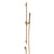 Gessi 70342 Habito Handshower and Adjustable Sliding Rail Set. Trame