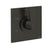 Gessi 72172 Ventaglio Trim Parts Only External Parts For Single Exit Pressure Balance