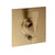 Gessi 72174 Ventaglio Trim Parts Only External Parts For Pressure Balance With Two Ways Diverter