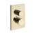 Gessi 73535 Inverso Trim Parts Only External Parts For Two Ways Diverter Thermostatic and Volume Control. Rigato