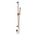 Gessi 73541 Inverso Handshower and Adjustable Sliding Rail Set. Rigato