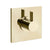 Gessi 73572 Inverso Trim Parts Only External Parts For Single Exit Pressure Balance. Rigato
