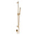 Gessi 73641 Inverso Handshower and Adjustable Sliding Rail Set. Diamantato