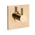 Gessi 73672 Inverso Trim Parts Only External Parts For Single Exit Pressure Balance. Diamantato