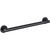 ICO Bath Summit Grab Bar