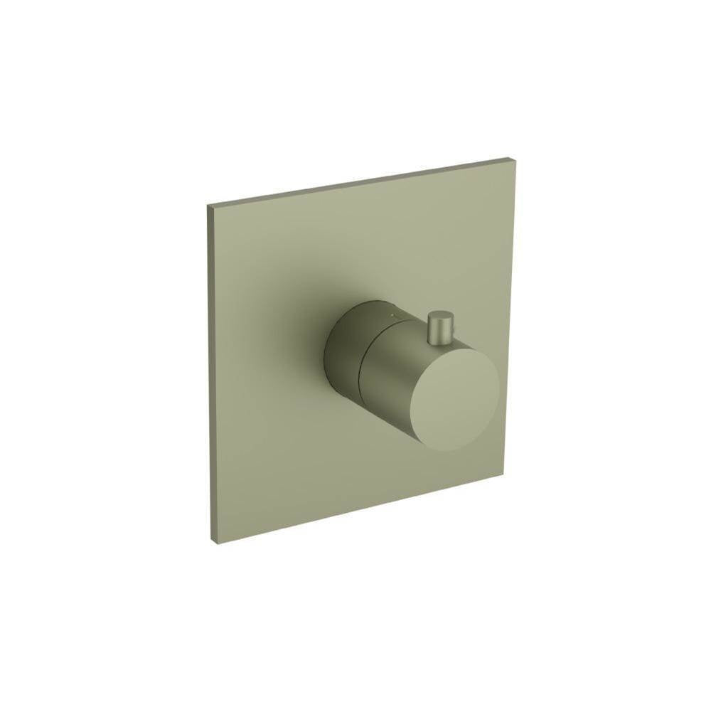Flusso Serie 100 100.4201T Trim For 3/4" Thermostatic Valve - Use with TVH.4201 - Parent
