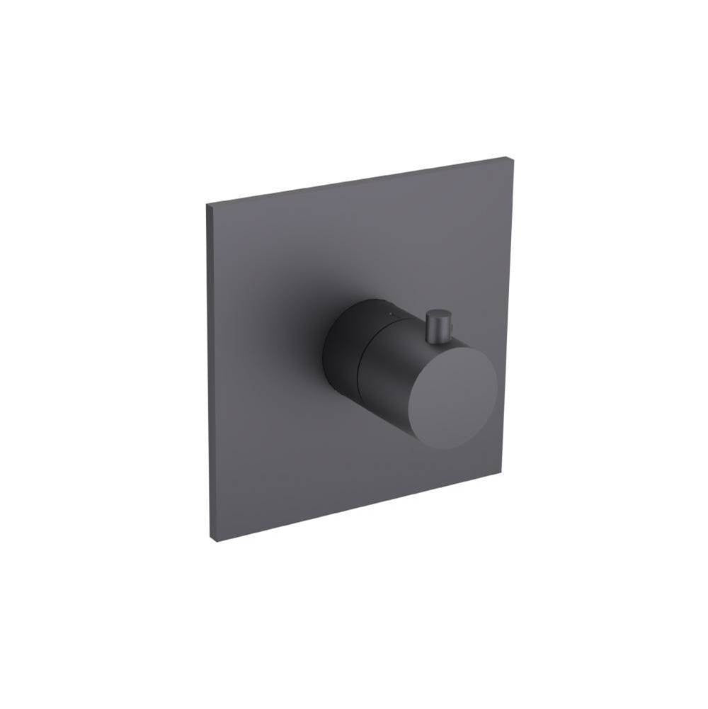 Flusso Serie 100 100.4201T Trim For 3/4" Thermostatic Valve - Use with TVH.4201