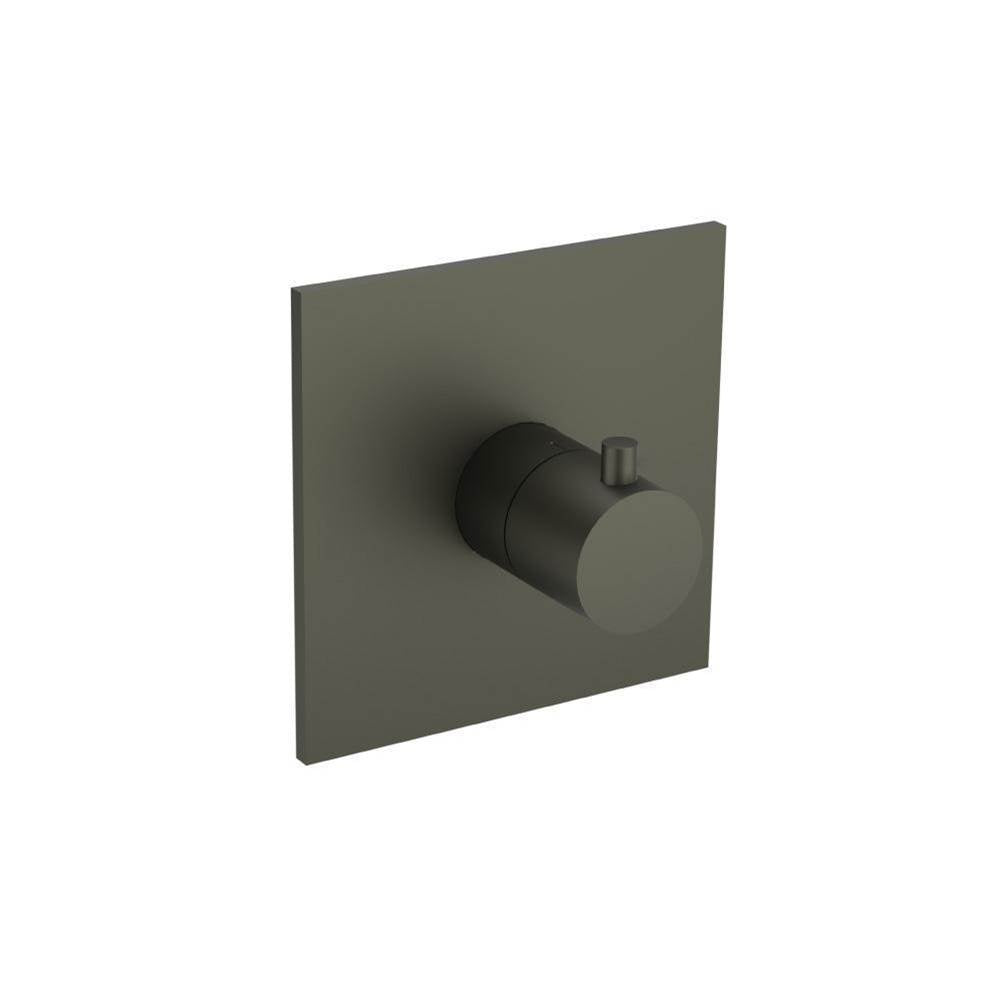 Flusso Serie 100 100.4201T Trim For 3/4" Thermostatic Valve - Use with TVH.4201