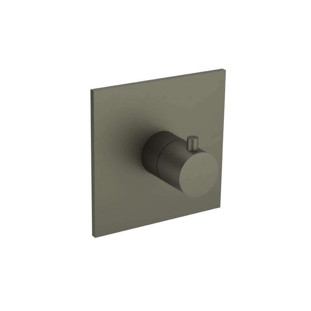 Flusso Serie 100 100.4201T Trim For 3/4" Thermostatic Valve - Use with TVH.4201