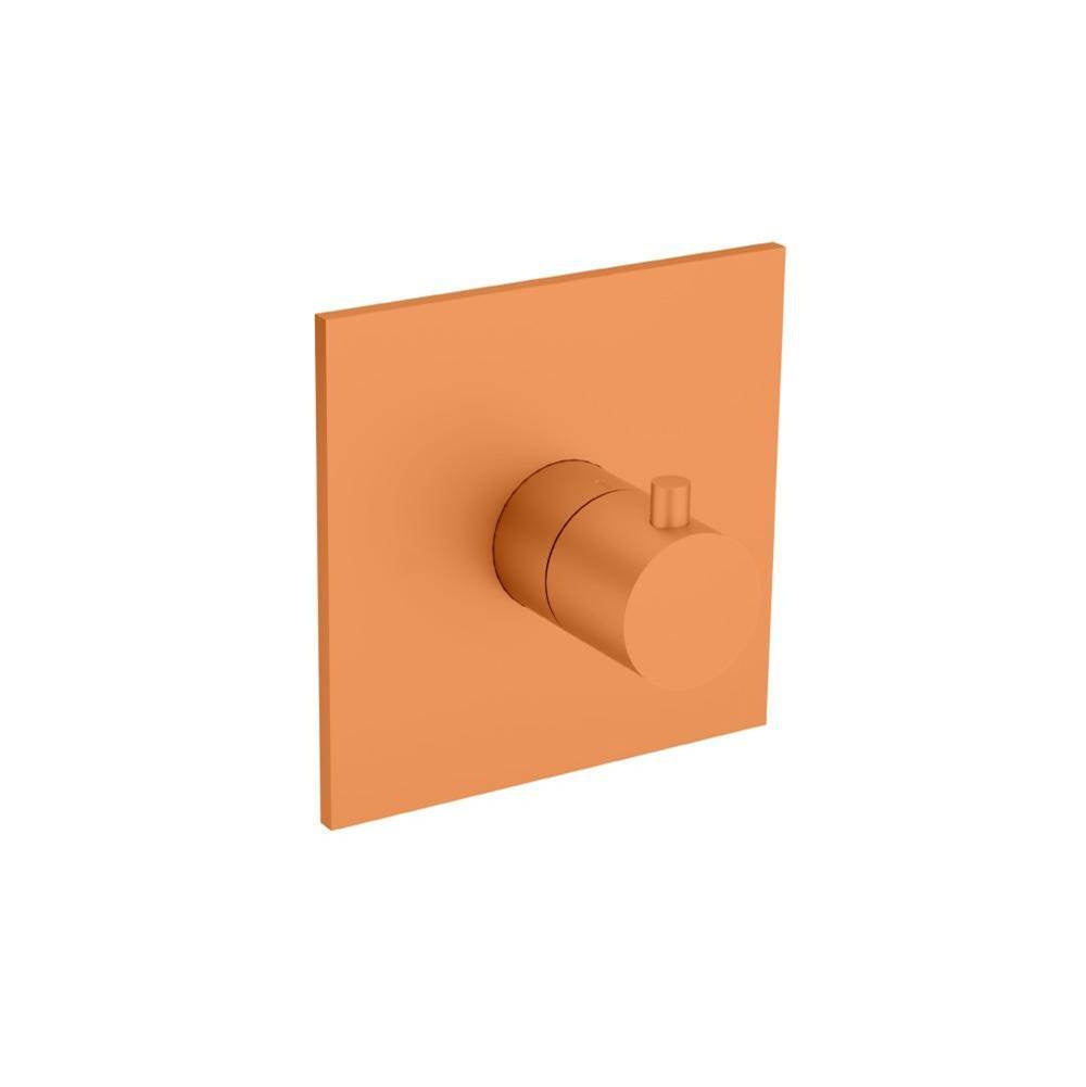 Flusso Serie 100 100.4201 3/4" Thermostatic Valve With Trim